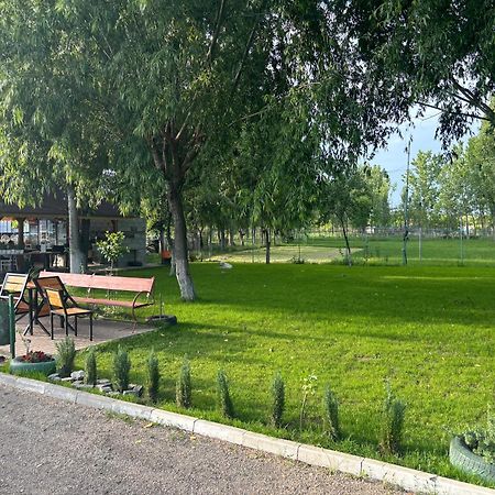 Villa Gigios Sport&Relax à Bailesti Extérieur photo